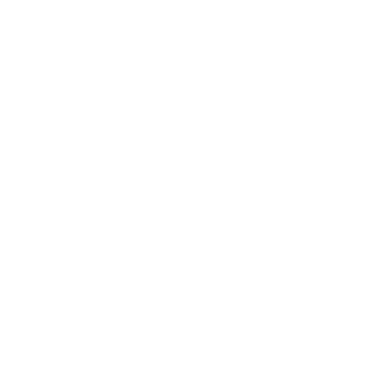 DWITS logo mark